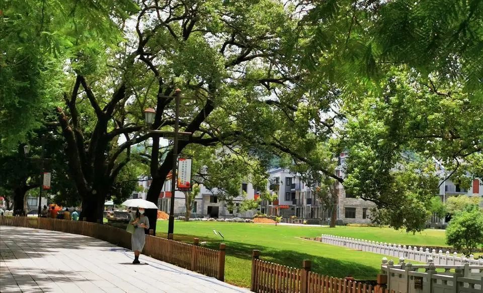 【特區(qū)40年?珠海篇】40年，珠?！白冏嗲? style=