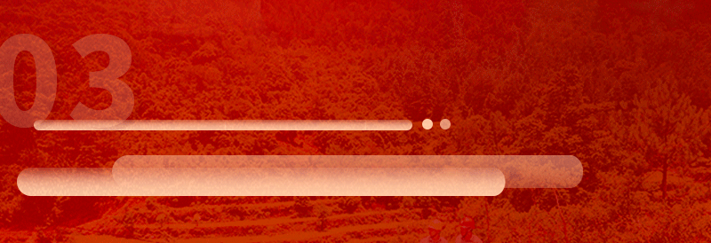 一圖讀懂 | 2022年國(guó)家電網(wǎng)公司“兩會(huì)”重點(diǎn)"