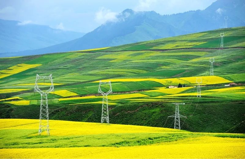 新一屆黨組學習習近平總書記重要論述精神 以黨的政治建設為統領 全面加強領導班子建設 當好干事創(chuàng)業(yè)的“五個表率”