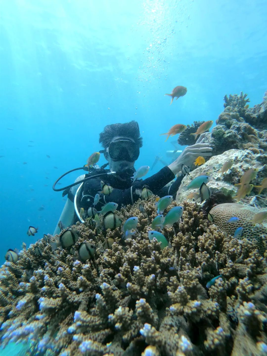 “碼”力全開(kāi)，“程”就輝煌：你身邊的不一樣的程序員