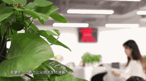 數(shù)科四季 | 大雪:閃光的日子